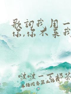 歌词我用一生等你,你不来我不老