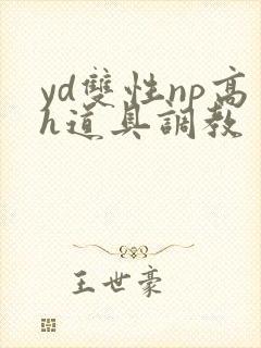 yd双性np高h道具调教