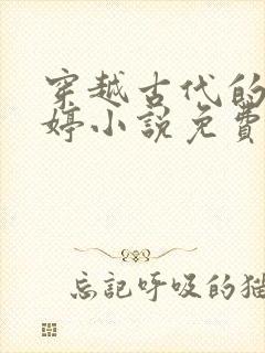 穿越古代的江婉婷小说免费阅读