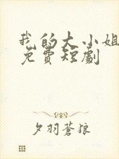 我的大小姐老婆免费短剧