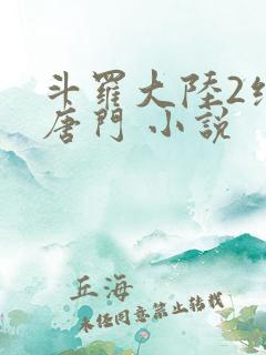 斗罗大陆2绝世唐门 小说