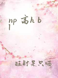 np 高h bl