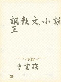 调教文小说双男主