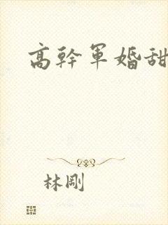 高干军婚甜文