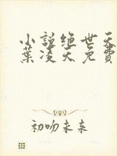 小说绝世天骄·叶凌天免费全文阅读