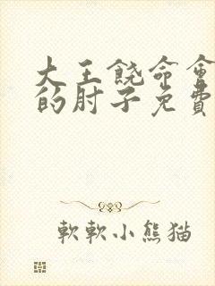 大王饶命会说话的肘子免费全文阅读