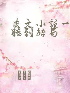爽文小说一口气听到结局