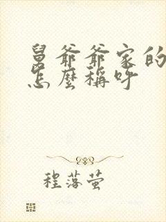 舅爷爷家的儿子怎么称呼