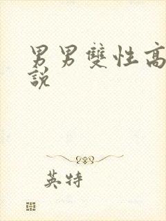男男双性高h小说