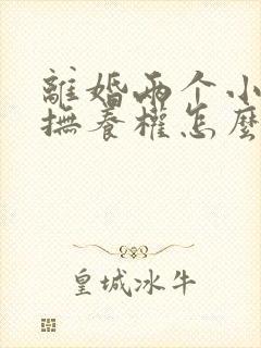 离婚两个小孩的抚养权怎么判