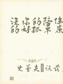 没你的陪伴我真的好孤单原唱一