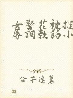 女警花被捆绑屈辱调教的小说