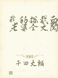 我的总裁白富美老婆全文阅读无删减