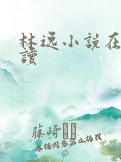 林逸小说在线阅读