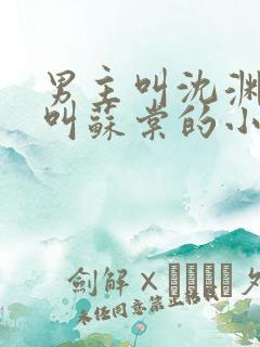 男主叫沈渊女主叫苏棠的小说