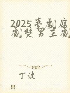 2025台剧腐剧双男主剧