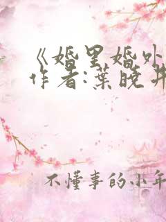 《婚里婚外》 作者:叶晓井