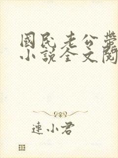 国民老公带回家小说全文阅读