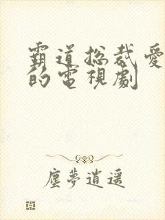 霸道总裁爱上我的电视剧