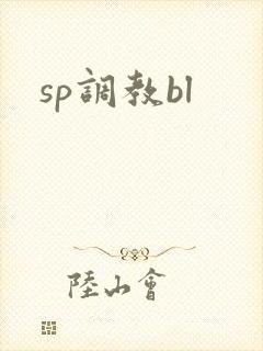 sp调教bl