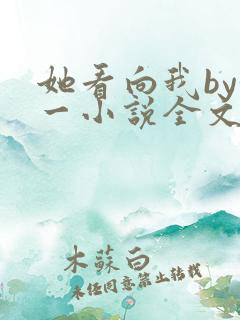 她看向我by徐一小说全文免费阅读