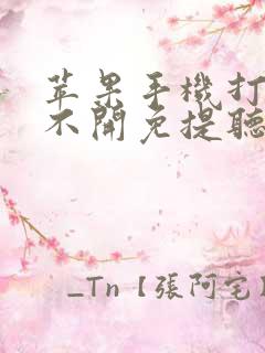 苹果手机打电话不开免提听不到声音怎么回事