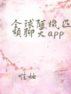 全球随机匹配视频聊天app