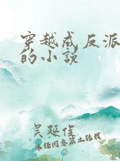 穿越成反派男主的小说