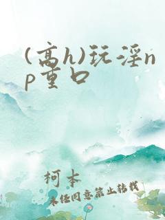(高h)玩淫np重口
