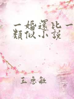 一婚还比一婚高类似小说