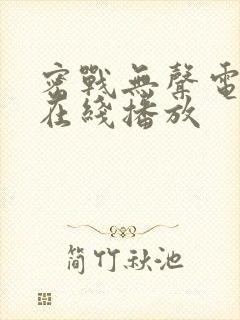 密战无声电视剧在线播放