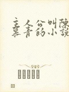 主人公叫陈宁沈慕青的小说