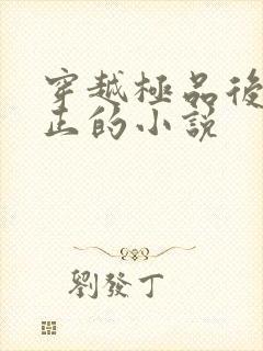 穿越极品后宫雍正的小说