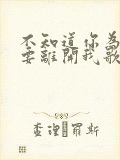 不知道你为什么要离开我歌词