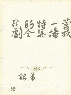 我的特一营电视剧全集播放