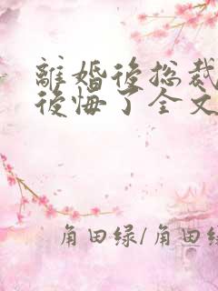 离婚后总裁老婆后悔了全文免费