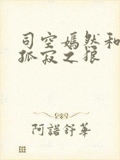 司空嫣然和叶凡孤寂之狼