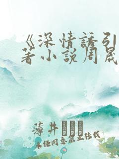 《深情诱引》原著小说周晟安结局