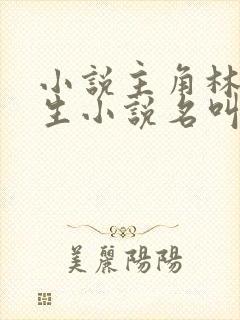 小说主角林天重生小说名叫什么