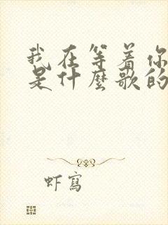 我在等着你回来是什么歌的歌词