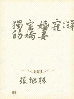 独家婚宠:琛少的娇妻