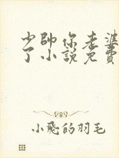 少帅你老婆又跑了小说免费