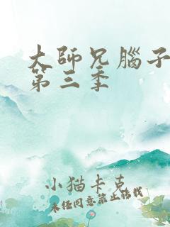 大师兄脑子有坑第三季