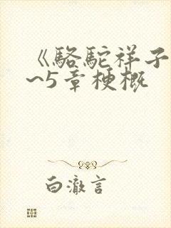 《骆驼祥子》1~5章梗概