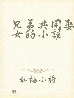 兄弟共同娶一个女的小说