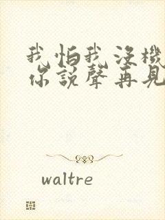我怕我没机会跟你说声再见歌名