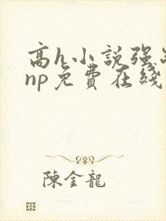 高h小说强制爱np免费在线阅读