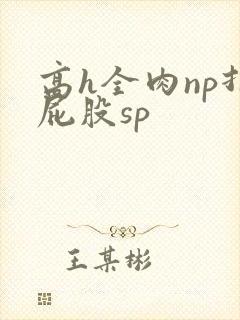 高h全肉np打屁股sp