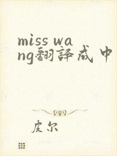 miss wang翻译成中文