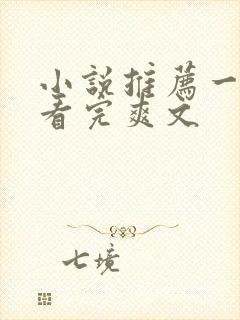 小说推荐一口气看完爽文